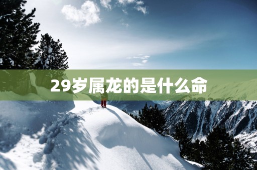 29岁属龙的是什么命
