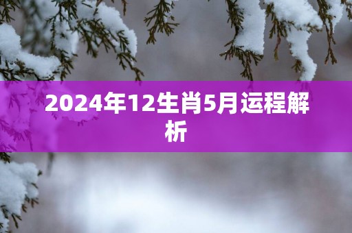 2025年12生肖5月运程解析