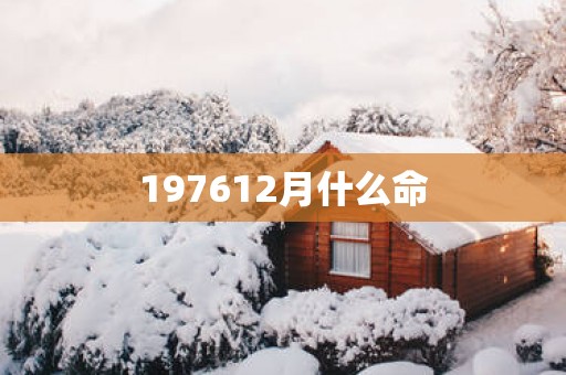 197612月什么命