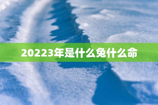 20253年是什么兔什么命