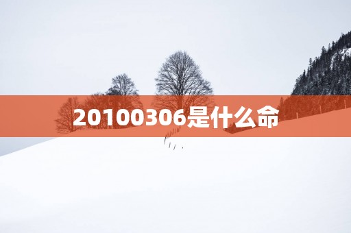 20100306是什么命