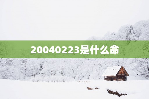 20040223是什么命