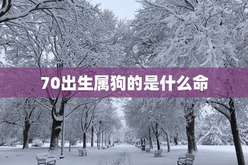 70出生属狗的是什么命