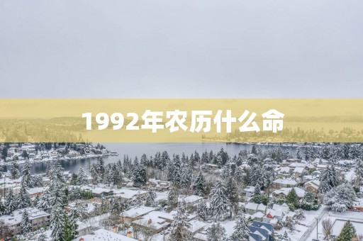 1992年农历什么命