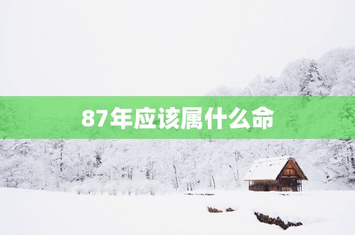 87年应该属什么命