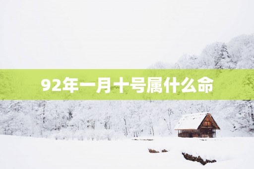 92年一月十号属什么命