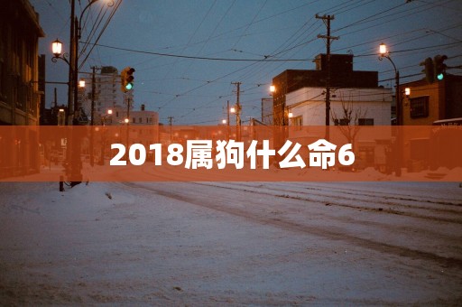 2018属狗什么命6