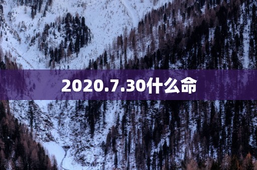 2025.7.30什么命