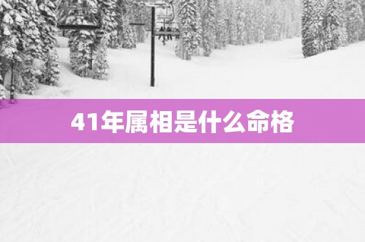 41年属相是什么命格