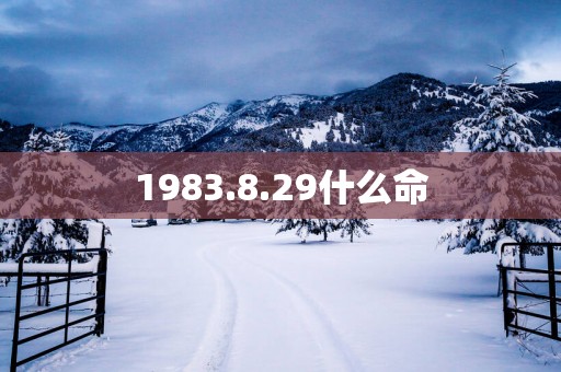 1983.8.29什么命