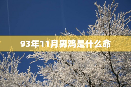 93年11月男鸡是什么命