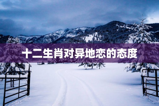 十二生肖对异地恋的态度