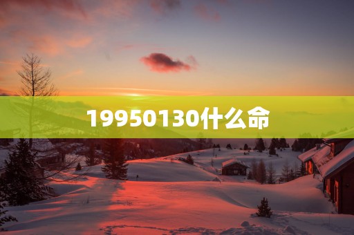 19950130什么命
