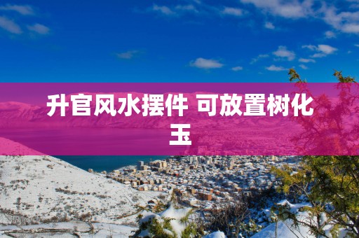 升官风水摆件 可放置树化玉