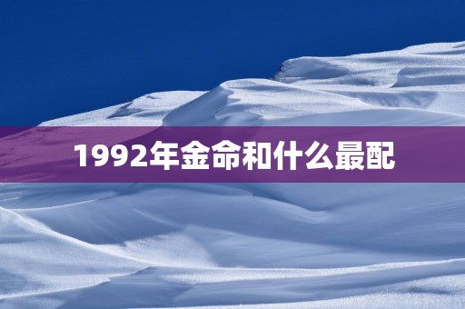 1992年金命和什么最配