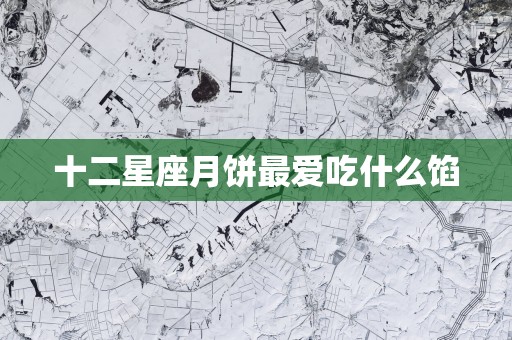 十二星座月饼最爱吃什么馅