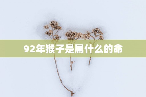 92年猴子是属什么的命