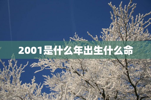 2001是什么年出生什么命
