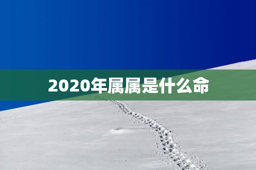 2020年属属是什么命