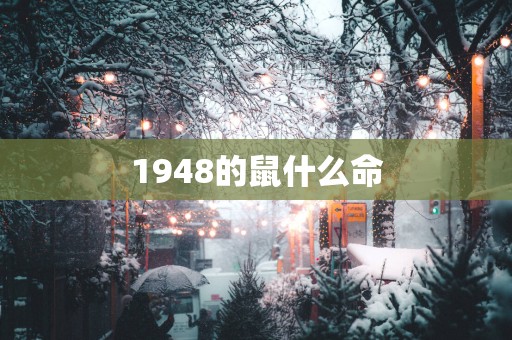 1948的鼠什么命