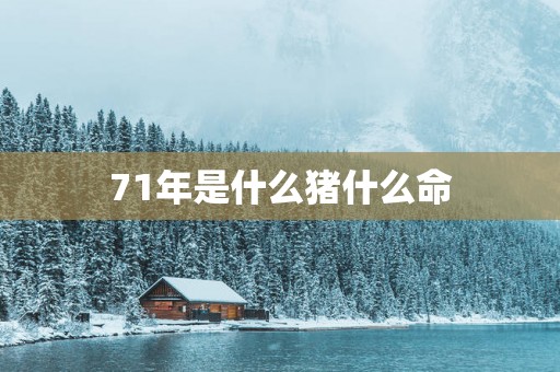 71年是什么猪什么命