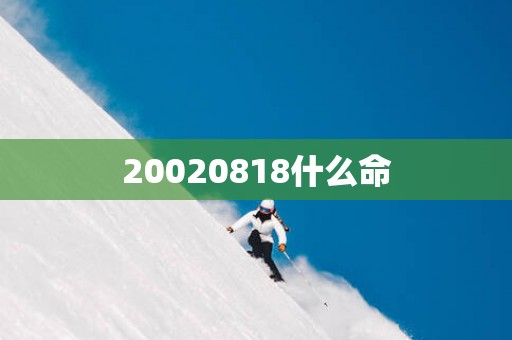 20020818什么命