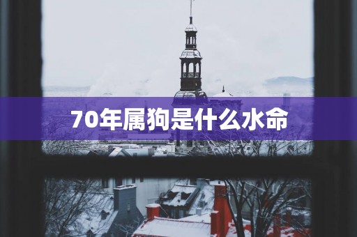 70年属狗是什么水命