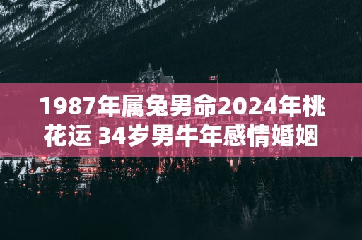 1987年属兔男命2025年桃花运 34岁男蛇年感情婚姻运势
