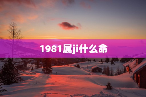 1981属ji什么命