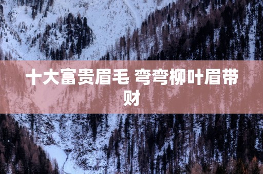 十大富贵眉毛 弯弯柳叶眉带财