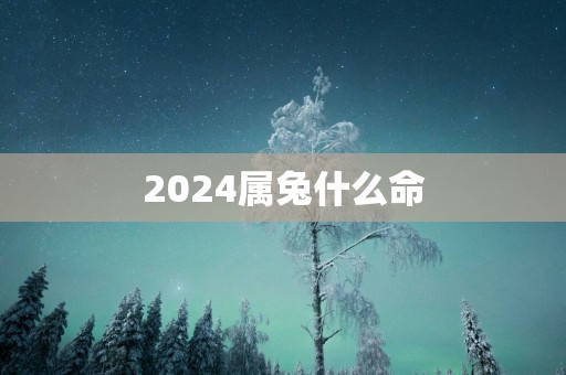 2025属兔什么命