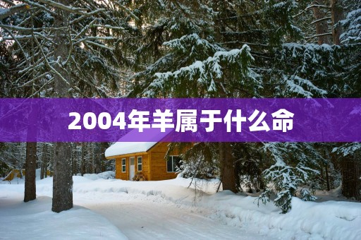 2004年羊属于什么命