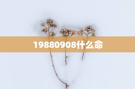 19880908什么命