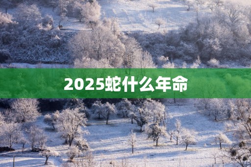 2025蛇什么年命