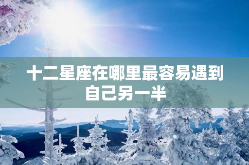 十二星座在哪里最容易遇到自己另一半