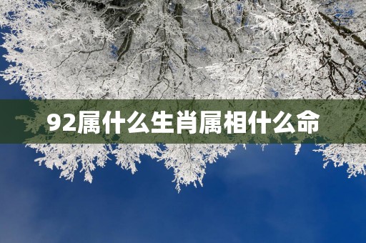 92属什么生肖属相什么命