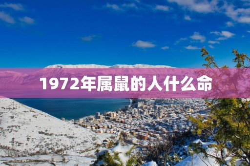 1972年属鼠的人什么命