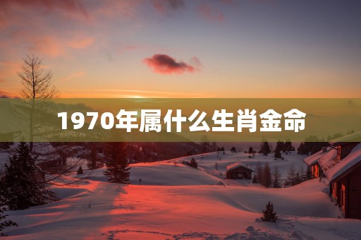 1970年属什么生肖金命