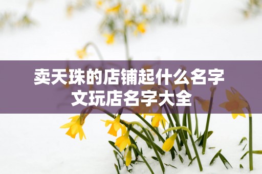 卖天珠的店铺起什么名字 文玩店名字大全