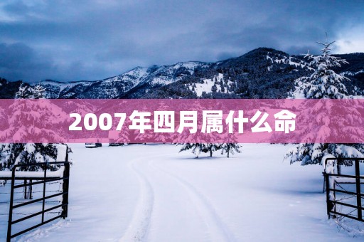 2007年四月属什么命