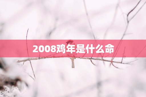 2008鸡年是什么命