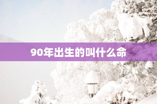 90年出生的叫什么命