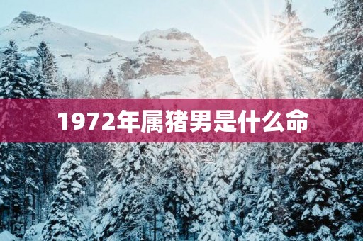 1972年属猪男是什么命