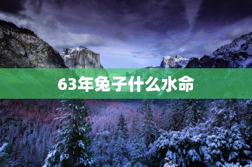 63年兔子什么水命