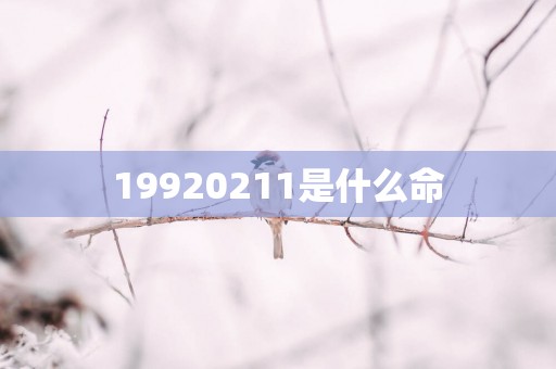 19920251是什么命