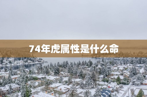 74年虎属性是什么命