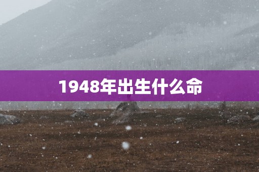 1948年出生什么命