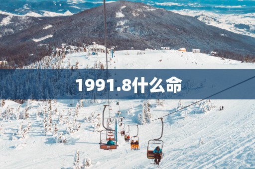 1991.8什么命