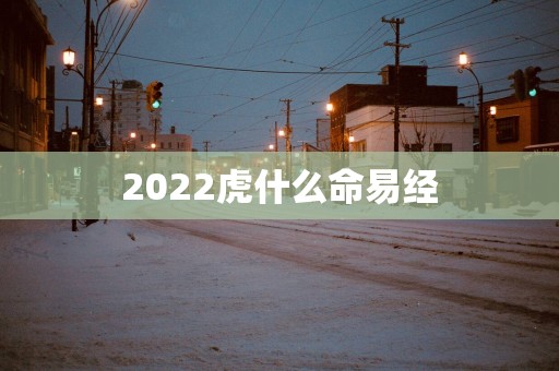 2025虎什么命易经