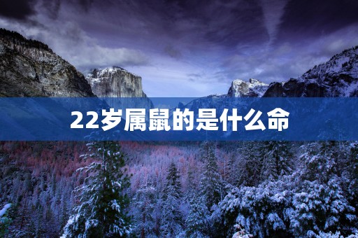 22岁属鼠的是什么命